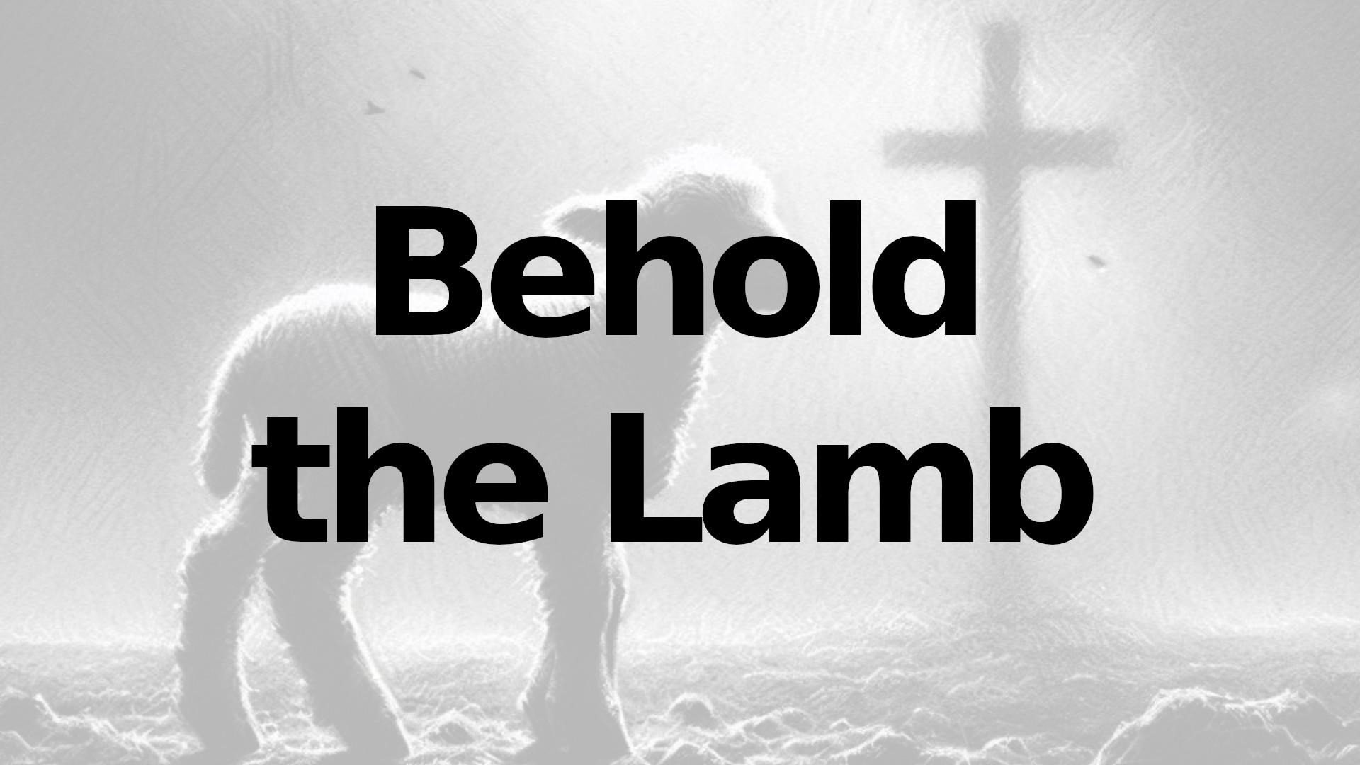 Starting October 2024 Behold the lamb