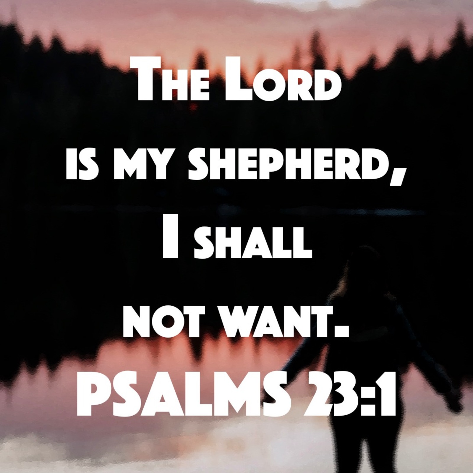 Psalms Overview 2 Psalms overview 2